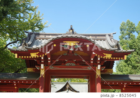 秩父神社 8525045