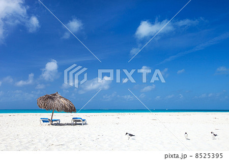 Beautiful Caribbean beach Beautiful Caribbean beach 8525395