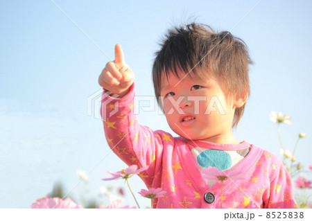 コスモスと少年 コスモスと少年 8525838