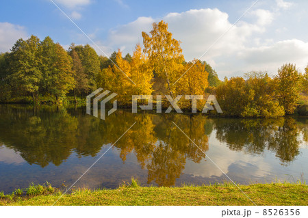 Autumnal landscape. Autumnal landscape. 8526356