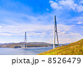 Cable-stayed bridge to Russian Island. Vladivostok. Russia. 8526479