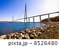 Cable-stayed bridge to Russian Island. Vladivostok. Russia. 8526480