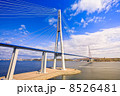 Cable-stayed bridge to Russian Island. Vladivostok. Russia. 8526481