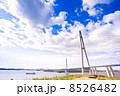 Cable-stayed bridge to Russian Island. Vladivostok. Russia. 8526482