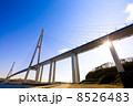 Cable-stayed bridge to Russian Island. Vladivostok. Russia. 8526483