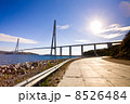 Cable-stayed bridge to Russian Island. Vladivostok. Russia. 8526484