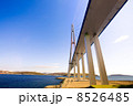 Cable-stayed bridge to Russian Island. Vladivostok. Russia. 8526485