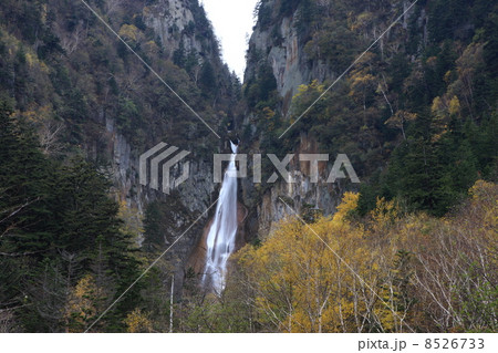 流星の滝 8526733