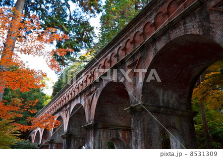 南禅寺の水路閣 南禅寺の水路閣 8531309