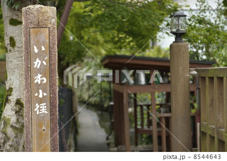 郡上八幡・いがわ小径 郡上八幡・いがわ小径 8544643