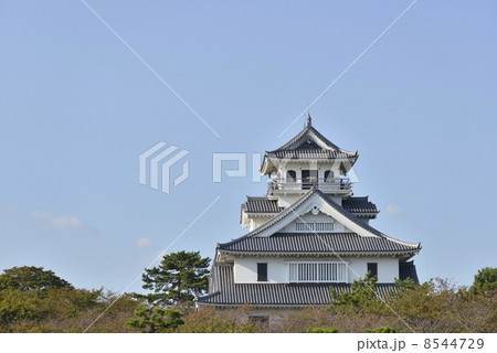 長浜城（長浜城歴史博物館） 8544729