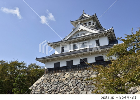 長浜城（長浜城歴史博物館） 8544731