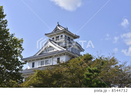 長浜城（長浜城歴史博物館） 8544732