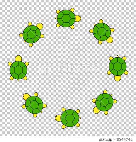 Turtle frame - Stock Illustration [8544746] - PIXTA