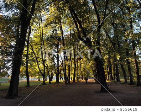 オスロの風景 オスロの風景 8556619