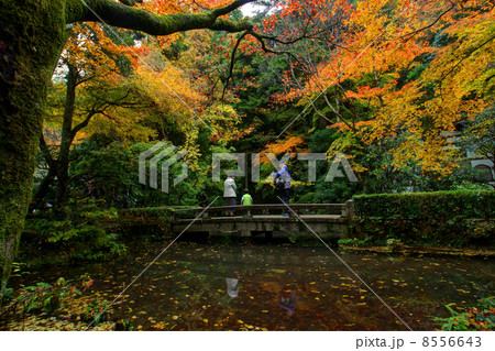 秋の法然院 8556643