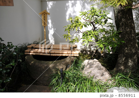 吉良邸跡　みしるし洗い井戸 8556911