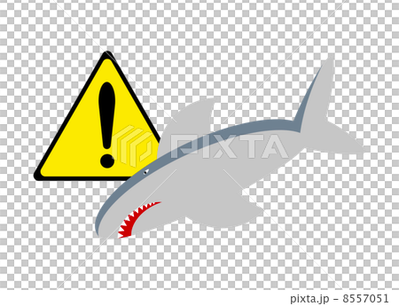 サメに注意 8557051
