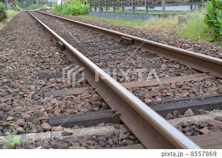 線路 8557869