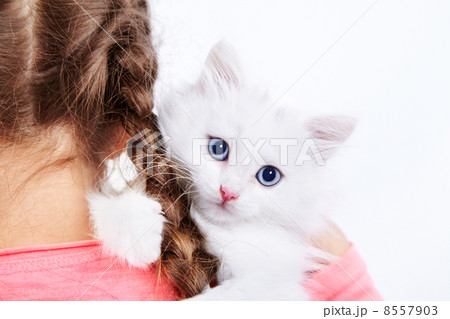Girl with white kitty Girl with white kitty 8557903