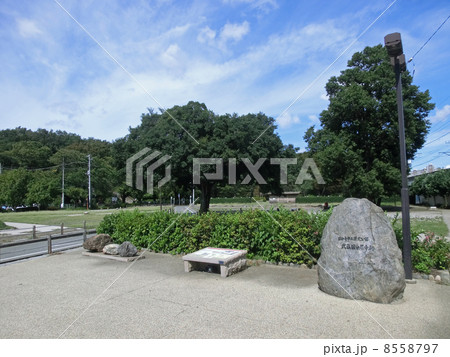 武蔵国分尼寺跡 武蔵国分尼寺跡 8558797