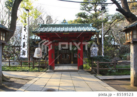 東京都 愛宕神社山門と本殿 東京都 愛宕神社山門と本殿 8559523