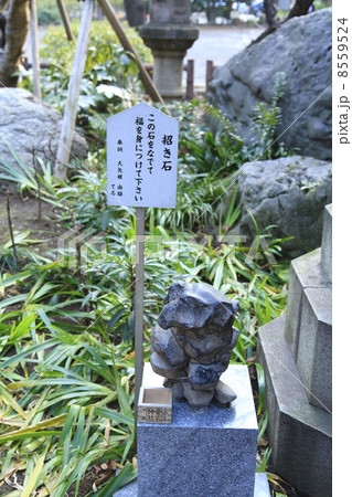 東京都 愛宕神社招きの石 東京都 愛宕神社招きの石 8559524