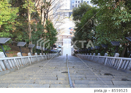 東京都 愛宕神社出世の石段 東京都 愛宕神社出世の石段 8559525