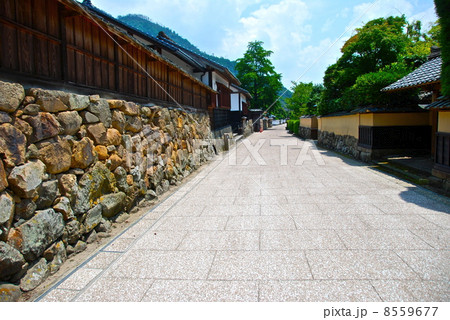 真名井の社家通り(島根県出雲市杵築東) 真名井の社家通り(島根県出雲市杵築東) 8559677