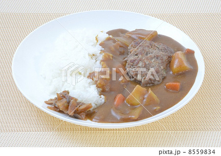 ハンバーグカレー 8559834