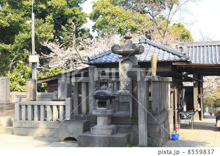 東京都・泉岳寺　瑤泉院の墓 8559837