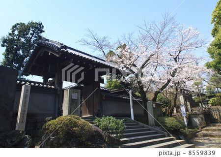 東京都・泉岳寺　大石内蔵助と赤穂浪士四十七士の墓所入口 8559839
