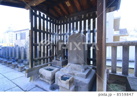 東京都・泉岳寺　大石主税のお墓と赤穂浪士四十七士の墓所 8559847