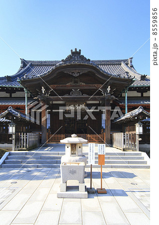 東京都・泉岳寺本殿 東京都・泉岳寺本殿 8559856