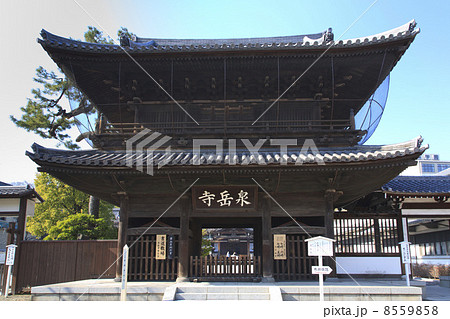 東京都・泉岳寺 東京都・泉岳寺 8559858