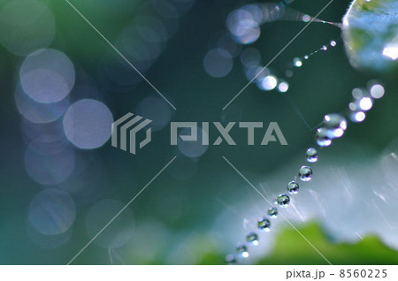 宇宙の雫 宇宙の雫 8560225