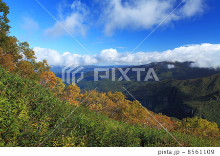 北海道大雪山黒岳の秋 8561109