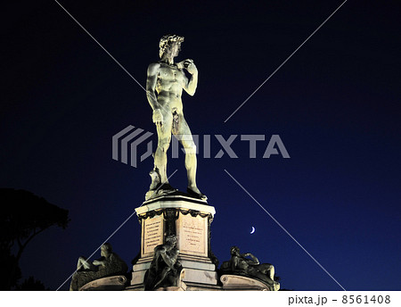 Statue of David Statue of David 8561408