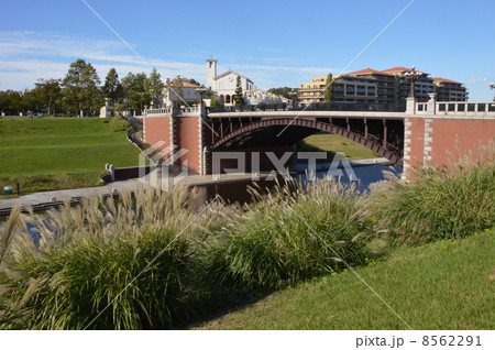 秋日和の八王子長池公園 秋日和の八王子長池公園 8562291