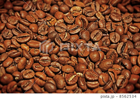 Coffee grains 8562534