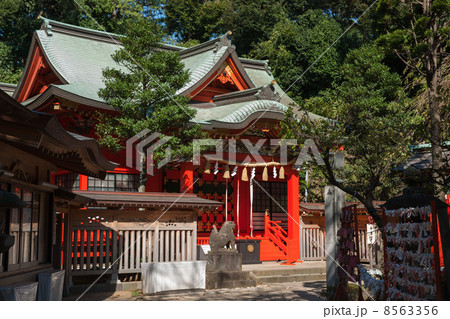 江ノ島神社中津宮拝殿 江ノ島神社中津宮拝殿 8563356