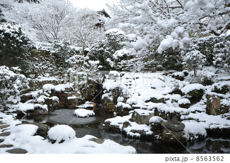 京都　実光院の冬の庭 8563562