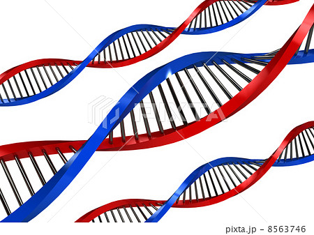 DNA Strands over white background DNA Strands over white background 8563746