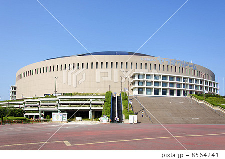 ヤフオクドーム 8564241