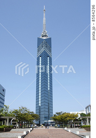 福岡タワー 福岡タワー 8564296