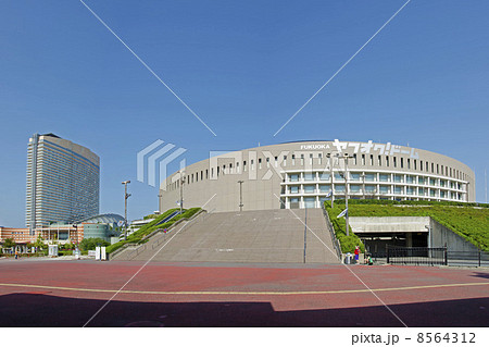 ヤフオクドーム 8564312