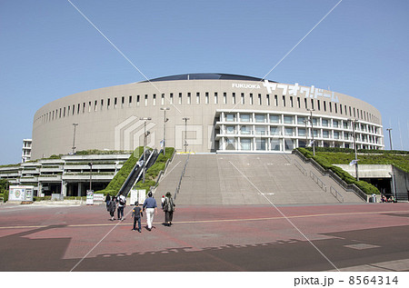 ヤフオクドーム 8564314