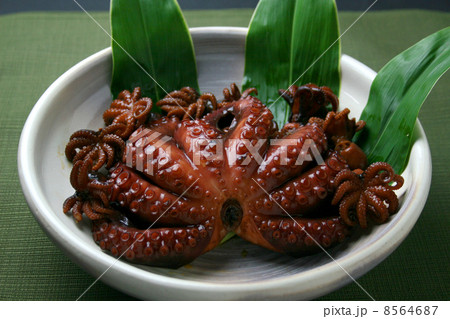 明石たこやわらか煮 8564687