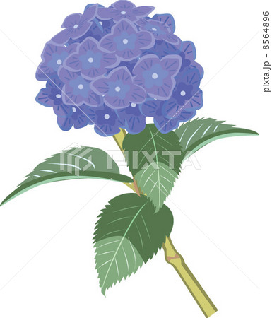 イラスト 8564896