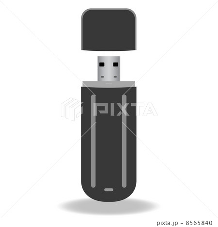 Black flash drive isolated on the white background. Vector illus Black flash drive isolated on the white background. Vector illus 8565840